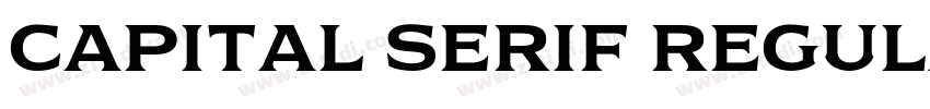 Capital Serif Regula字体转换 Capital Serif Regula字体转换